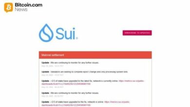 شبكة "Sui" تواجه ثالث توقف للمعاملات خلال 48 ساعة من موجات العطل