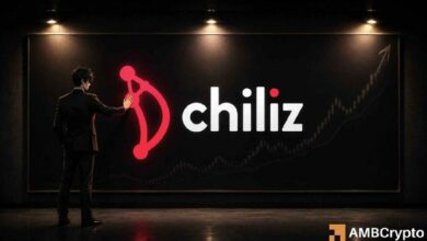 تشيلايز تتحول إلى صاعدة – هل يمكن لـ CHZ توسيع مكاسبها من هنا؟
