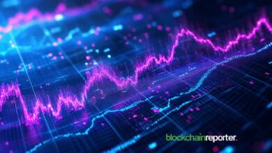 توقعات سعر سهم ترايدنت المحدودة لعامي 2026 و2030: أكبر منتج مناشف في العالم بسعر 25 روبية