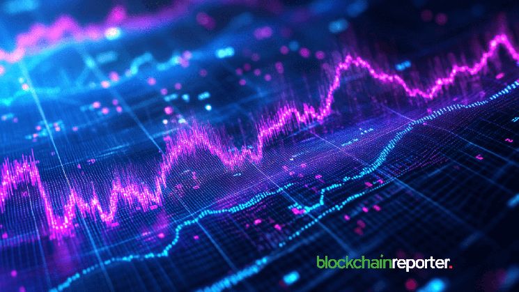 توقعات سعر سهم ترايدنت المحدودة لعامي 2026 و2030: أكبر منتج مناشف في العالم بسعر 25 روبية