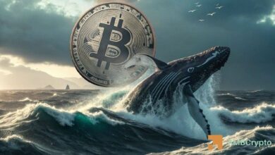 الحيتان تشتري 4,527 بيتكوين في 24 ساعة – هل 84.9 ألف دولار هي القادمة؟