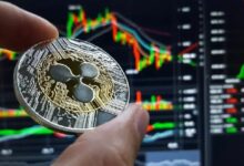 **XRP: المحرك الأساسي لـ RLUSD على منصة XRP Ledger وفقًا لنائب رئيس Ripple**