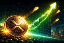 خبير يتوقع موعد ارتفاع سعر XRP إلى 12 دولار