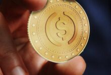 رئيس شركة Reliant: العملات المستقرة لا تزال أقل من 5% من المدفوعات الأمريكية الخاضعة للتنظيم