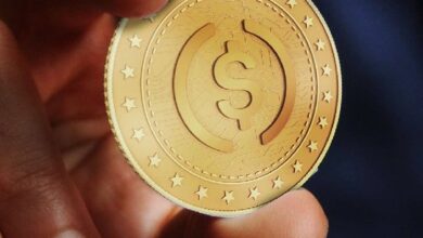 رئيس شركة Reliant: العملات المستقرة لا تزال أقل من 5% من المدفوعات الأمريكية الخاضعة للتنظيم
