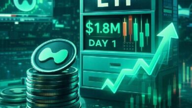 إطلاق أول صندوق تداول فوري لهيبرليكويد: حجم اليوم الأول يصل إلى 1.8 مليون دولار – التفاصيل الكاملة