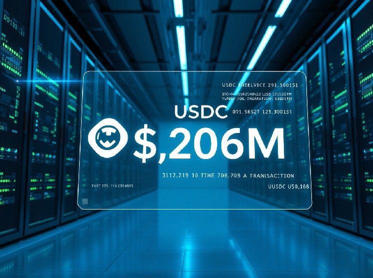 تحويل ضخم بقيمة 206 ملايين دولار من عملة USDC من محفظة غير معروفة إلى Paxos يثير تكهنات السوق