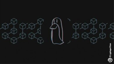 هل يمكن أن يكون العقل المدبر لسرقة العملات الرقمية بقيمة 19 مليون دولار هاربًا؟