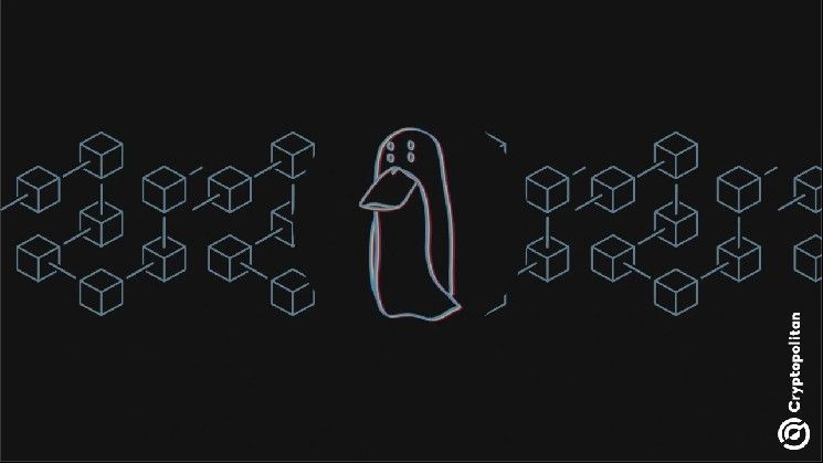 هل يمكن أن يكون العقل المدبر لسرقة العملات الرقمية بقيمة 19 مليون دولار هاربًا؟