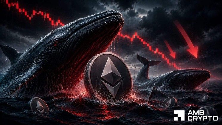 إيثريوم يكسر دعمًا رئيسيًا.. المضاربون يقولون "اشترِ الانخفاض" – لكن الحيتان تقول...