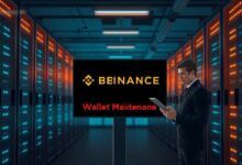 تعليق عملة بينانس BEP20: صيانة طارئة للمحفظة توقف الإيداعات والسحوبات في 5 مايو