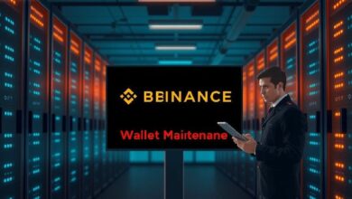 تعليق عملة بينانس BEP20: صيانة طارئة للمحفظة توقف الإيداعات والسحوبات في 5 مايو