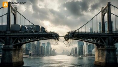 **رئيس "ستيبلز": تدفقات المهاجرين تفضل USDT، وتدفع 60% من الطلب الدولي على الدولار**