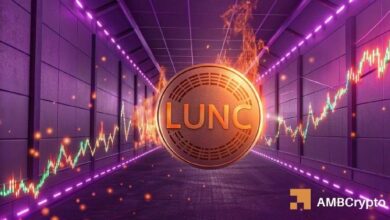 تيرا كلاسيك تهبط 21% مع محو الثيران – ما التالي لعملة LUNC؟