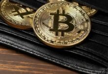 شركة معيار البيتكوين القابضة تهدف لتصبح "بيركشاير هاثاواي" للعملات الرقمية