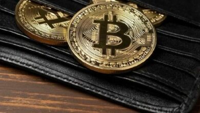شركة معيار البيتكوين القابضة تهدف لتصبح "بيركشاير هاثاواي" للعملات الرقمية