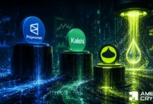 ارتفاع عملة RAIN بنسبة 23% – هل يدفع السيولة البالغة 100 مليون دولار السعر إلى 0.02 دولار؟