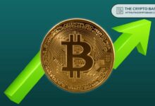 شبكة البيتكوين تتعافى بسرعة، مما يشير إلى نهاية القاع المحلي: جلاسنود