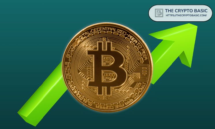 شبكة البيتكوين تتعافى بسرعة، مما يشير إلى نهاية القاع المحلي: جلاسنود