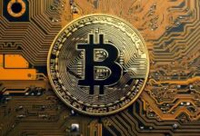 منصة تعدين البيتكوين تبتكر حاضنات ومفقسات طائر السمان تعمل بالبيتكوين