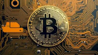 منصة تعدين البيتكوين تبتكر حاضنات ومفقسات طائر السمان تعمل بالبيتكوين