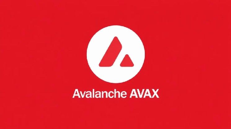 أحدث التطورات حول عملة الألتكوين الهادئة أفالانش (AVAX)؟ هل هناك مشاريع أو مبادرات جديدة؟