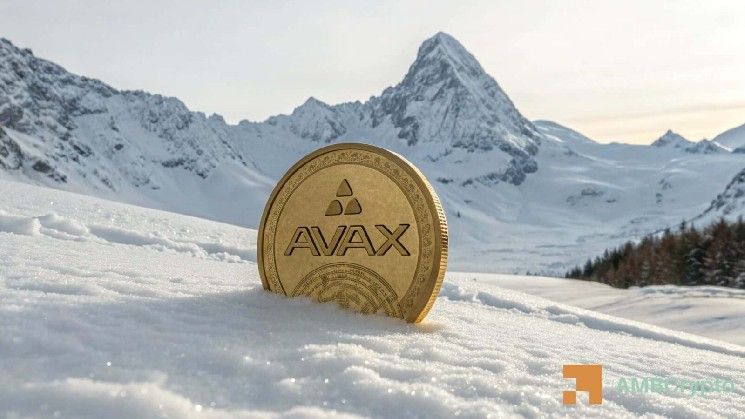 حيتان AVAX تسحب 35 مليون دولار من البورصات: هل يستعيد السعر مستوى 10.45 دولار؟