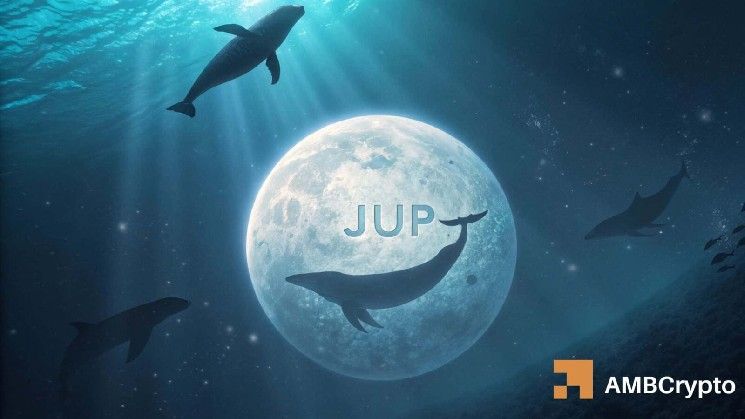 مشتري الحيتان من JUP يشترون 10.32 مليون رمز – هل يستطيع الثيران استعادة 0.265 دولار؟
