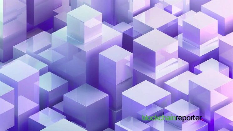 ** XWINNER تتعاون مع CodeField لتحويل المحتوى الرقمي إلى أصول على السلسلة **
