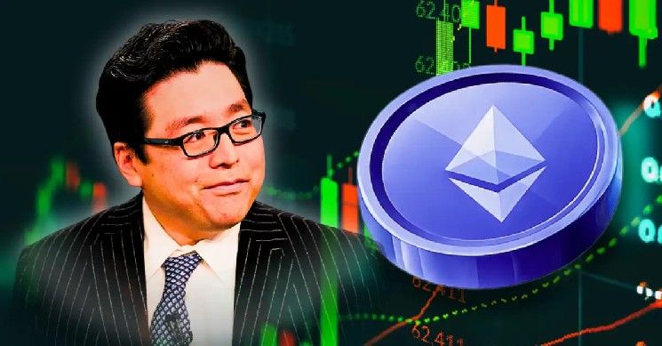 "بيت ماين: توم لي يشرح أسباب انخفاض سعر إيثريوم مع ارتفاع أسعار النفط"