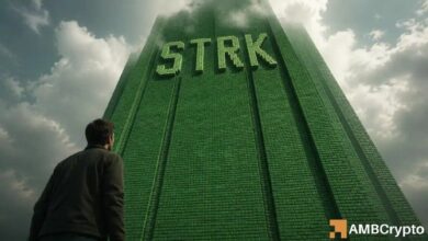 سترك نت تتطلع إلى صعود أكبر بعد قفزة 13% – ولكن هل يستطيع STRK تجاوز هذا المستوى أولاً؟