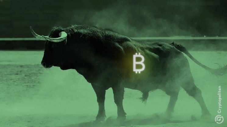 عناقيد الثيران تضغط على العرض مع انخفاض احتياطيات البورصات لأدنى مستوى في عامين