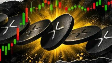 ما قيمة 1,000 XRP عند 5 دولارات و10 و30 دولارًا؟ محلل يقوم بالحساب