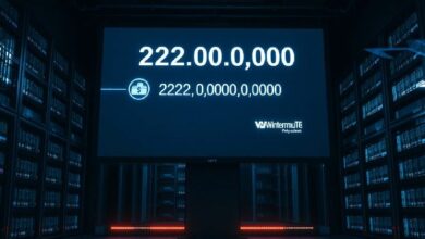 تنبيه الحيتان: تحويل 222 مليون دولار من USDT من محفظة مجهولة إلى Wintermute