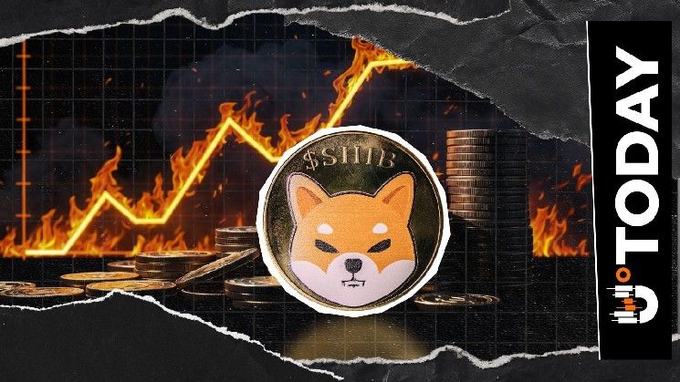 34,197,836 SHIB محترقة، لكن معدل حرق Shiba Inu لا يزال سلبياً