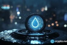 شرح USDsui: لماذا تراهن Sui على عملة مستقرة أصلية