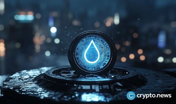 شرح USDsui: لماذا تراهن Sui على عملة مستقرة أصلية