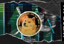 دوجكوين يتجاوز قيمة سوق NFT بالكامل بنسبة 800%