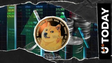 دوجكوين يتجاوز قيمة سوق NFT بالكامل بنسبة 800%