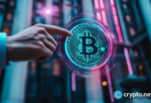 مبادلة ترفع حصتها في صندوق بيتكوين المتداول بنسبة 16% إلى 566 مليون دولار