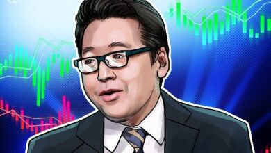 بريق توم لي من Bitmine يشير إلى رياح خلفية للسهم بعد إدراج الشركة في قائمة راسل 3000