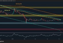 تحليل سعر الريبل: الـ 48 ساعة القادمة حاسمة لمستقبل XRP