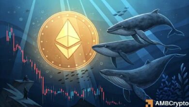 بعد تحويل 577 ألف إيثريوم: هل ينخفض سعر ETH تحت الضغط؟