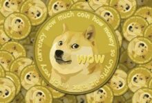 مؤسس Dogecoin جوردان جيفرسون يعلن: نظام Dogecoin لم يعد يعتمد على تأثير إيلون ماسك!