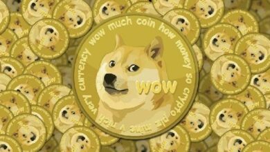 مؤسس Dogecoin جوردان جيفرسون يعلن: نظام Dogecoin لم يعد يعتمد على تأثير إيلون ماسك!