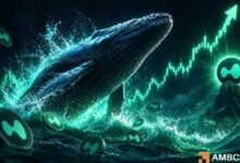 نشاط حوت Hyperliquid يزداد مع وصول HYPE إلى أعلى مستوى تاريخي جديد: هل يستمر الزخم؟
