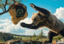لماذا يمكن لمتداولي بيتكوين كاش توقع انتعاش تعويضي بعد انخفاض سعر BCH بنسبة 25%