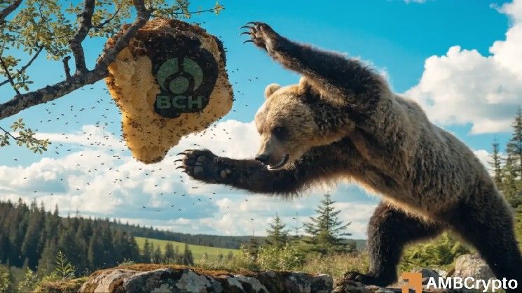 لماذا يمكن لمتداولي بيتكوين كاش توقع انتعاش تعويضي بعد انخفاض سعر BCH بنسبة 25%