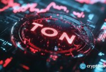 إليك سبب ارتفاع سعر تون كوين بأكثر من 100% هذا الأسبوع
