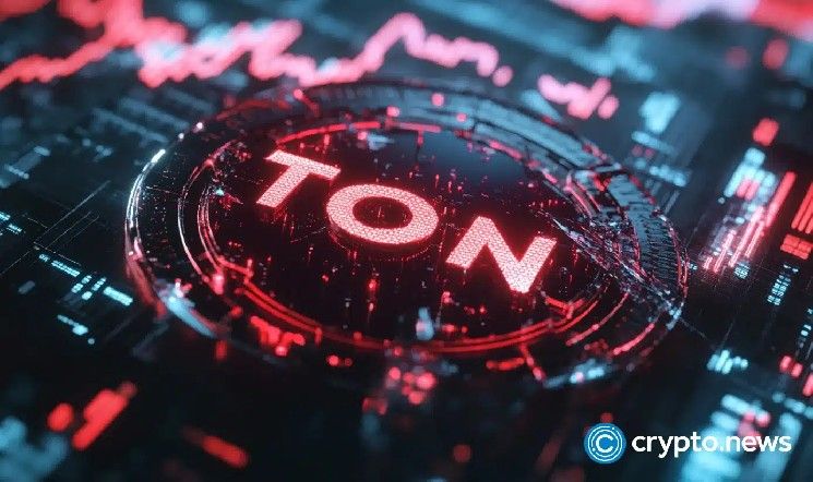 إليك سبب ارتفاع سعر تون كوين بأكثر من 100% هذا الأسبوع